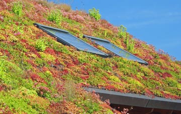 Westbrook Hay living roof systems